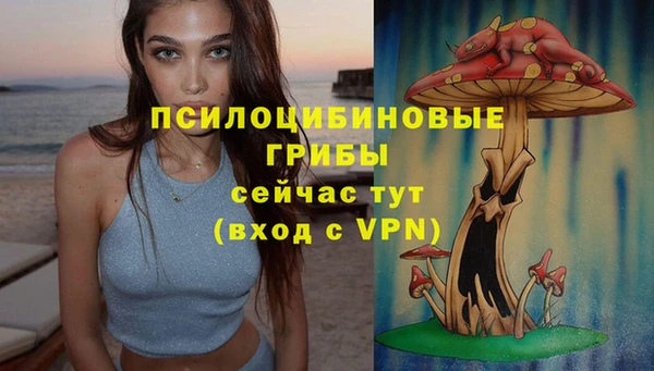 прущая мука Навашино