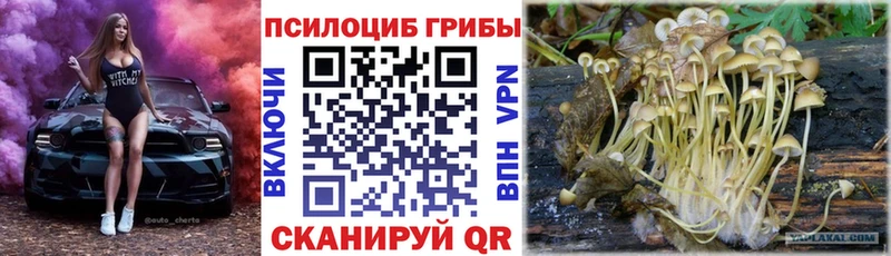 Псилоцибиновые грибы мухоморы  Магнитогорск 